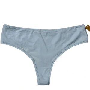 NEW Skims Fits Everybody Thong Sky